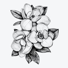 a bouquet of flowers with leaves and buds in black and white on a white background