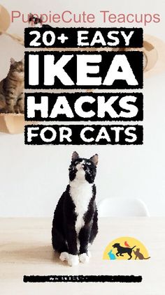 a black and white cat sitting on top of a table with the words 20 easy ikea hacks for cats