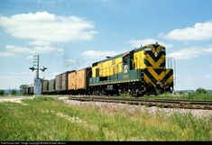 a yellow and black train traveling down tracks next to tall green grass on a sunny day