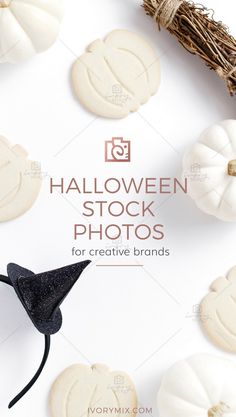 halloween stock photos for creative brands with pumpkins and witch's hat on white background