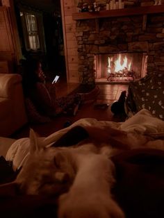 two people sitting in front of a fireplace with a dog sleeping on the floor next to them