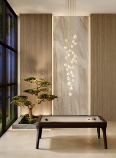 a bonsai tree in the corner of a room next to a table and window