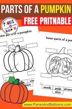 pumpkin worksheet for kids with the words parts of a pumpkin