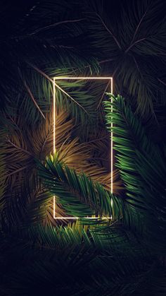 Google Pixel 6 Pro Wallpaper Neon Light Wallpaper, Nature Iphone Wallpaper, Dark Phone Wallpapers, Lit Wallpaper, Neon Wallpaper, Iphone Wallpaper Photos, Dark Wallpaper Iphone, Wallpaper Space, Phone Wallpaper Images