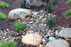 a garden with rocks, grass and water