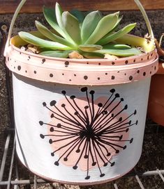 a potted plant sitting on top of a metal rack