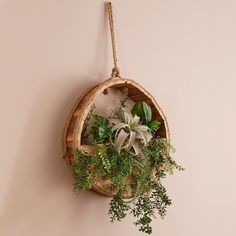 a hanging planter with plants in it on a wall mounted shelf next to a pink wall