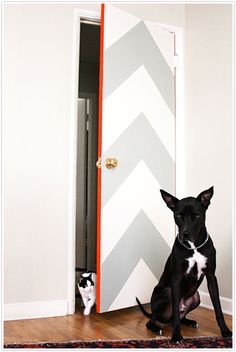 a black and white dog sitting in front of a door with a cat on the floor