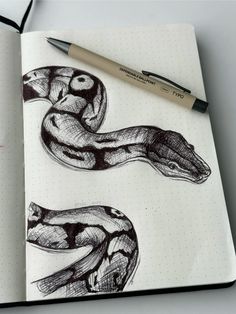 an open notebook with two drawings of a snake on it and a pen next to it