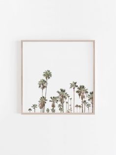 a white wall with palm trees in the background and a wooden frame hanging on it