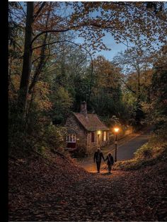 two people walking down a path towards a house in the woods at night with lights on