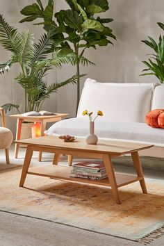 a living room with white couches and plants in the corner, including a coffee table