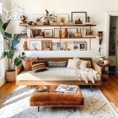 a living room filled with furniture and lots of shelves above the couch, on top of a white rug