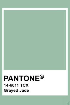 the pantone color is shown in green and has a white frame on it, which reads