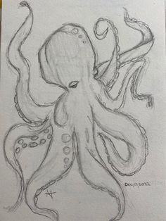 an octopus drawn in pencil on paper