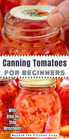 canning tomatoes for beginners with step by step instructions