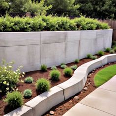 an outdoor garden with concrete retaining wall and plants