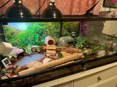 a fish tank filled with lots of different types of plants and rocks on top of a counter