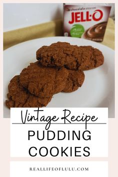 vintage recipe pudding cookies on a white plate