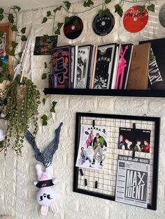 there are many pictures on the wall with plants hanging from it's hooks and shelves