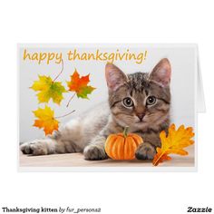 a happy thanksgiving card with a cat laying on the floor next to fall leaves and a pumpkin