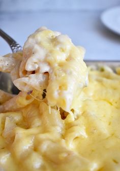 a spoon full of macaroni and cheese on a plate