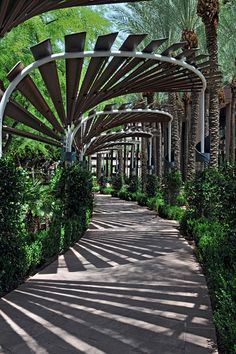 the walkway is lined with trees and plants