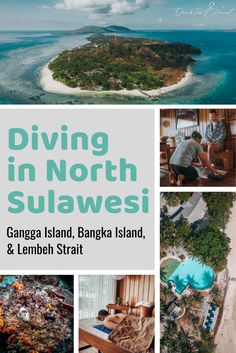 diving in north sulawesi, gangga island, bangka island and lembeh strait