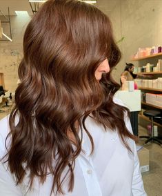 Chocolate Colour Hair, Medium Golden Mahogany Brown Hair, Toffee Colored Hair, Golden Mahogany Brown Hair, Warm Chocolate Hair Color, Pelo Chocolate Caramelo, Warm Toned Brown Hair, Solid Brown Hair Color, Hazelnut Hair Color Brown