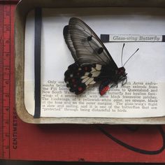 a black and white butterfly sitting on top of an open book next to a ruler