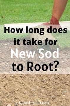 new sod root The Whole, Take That, Key