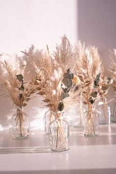 several glass vases with dried plants in them