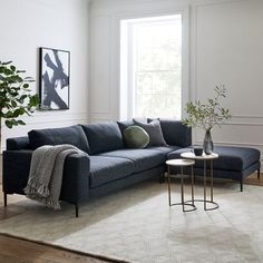 a living room filled with furniture and a plant on top of a white rug in front of a window