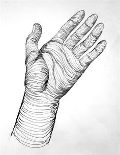 a drawing of a hand with lines on it