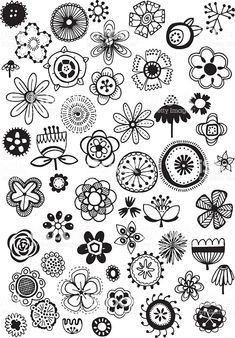 a bunch of different types of flowers on a white background with black and white graphics