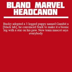 a red book cover with the words, blind marvel headbands and bruce banner are