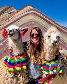 a woman is holding two llamas in front of a colorful mountain side area