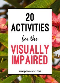 Art For Vision Impaired, Low Vision Activities For Elderly, Leisure Education Activities, Visual Impairment Activities, Vision Therapy Activities, Cortical Vision Impairment, Community Friends