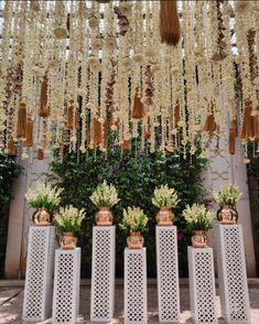 several vases with flowers hanging from them in front of a wall filled with plants