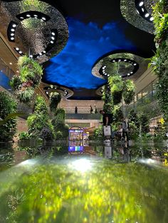 the inside of a building with plants growing on it