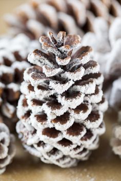 a pine cone is covered in powdered sugar and sits on a table next to some cones