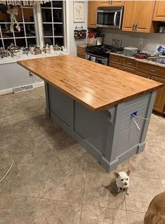 a dog standing in front of a kitchen island with a butcher block top on it