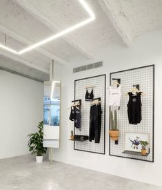 an empty room with clothes hanging on the wall and potted plant next to it