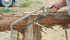 a man is using a pair of scissors to cut down a large tree trunk with chains