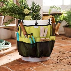 a potted plant with gardening utensils in it