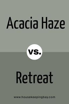 Acacia Haze vs Retreat by Sherwin Williams Retreat Paint Color, Coordinating Paint Colors, Green Exterior House Colors, Exterior House Renovation, Farmhouse Interior Design