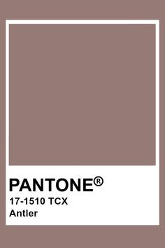 the pantone color is brown and has a white square on it, in front of a