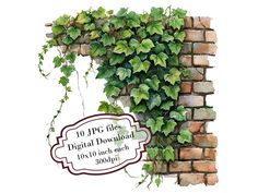 a brick wall with ivy growing on it and a sign that reads 10 ppg files digital