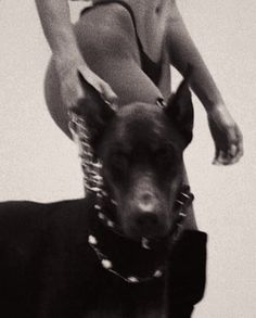 black and white photograph of a woman on top of a dog with chains around her neck