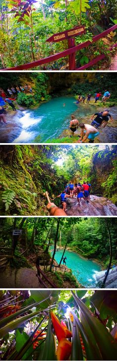 several different shots of people swimming in the water and on rafts near some trees